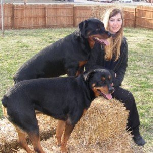 The CPDT-KA certified trainer who created the course, per the official vendor page